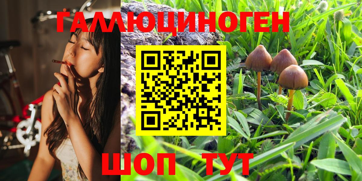 Галлюциногенные грибы Magic Shrooms Нарткала